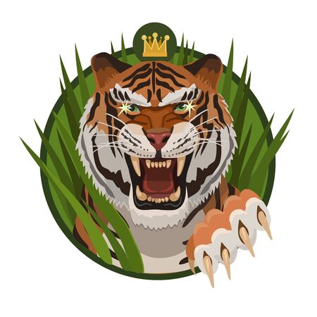 King tigers growling to protect their territory and their young against other animalsのイラスト素材