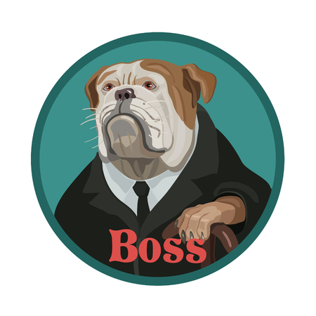 The dog is a Bulldog like the boss strictly looks like the head of a subordinate with highly rank the wise and carefulのイラスト素材