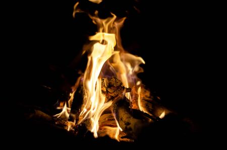 wood is burning in fire in lut desert