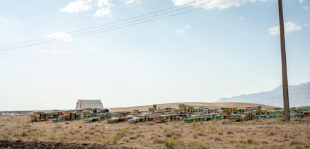 Beehives or hive , the old way of keeping hive in iran