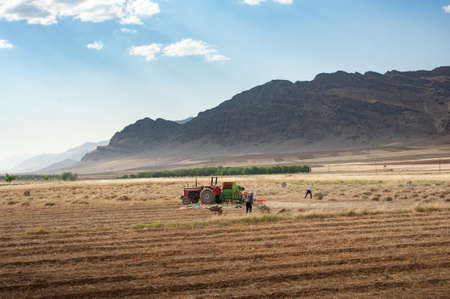 khuzestan, iran- july 27 2021 people or workers are working with old manual harvester in the wheat field, in iranのeditorial素材