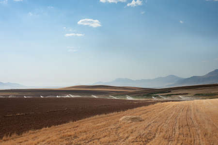 plowed field beside harvested wheat field. Furrows row pattern in a plowed field prepared for...
