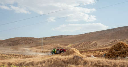 khuzestan, iran- july 27 2021 people or workers are working with old manual harvester in the wheat field, in iranのeditorial素材