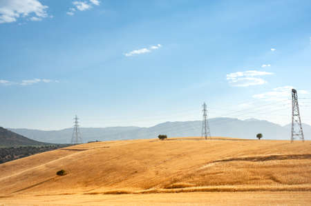 Wheat field on the hill with blue and partly cloudy sky in khizestan province, iranの写真素材