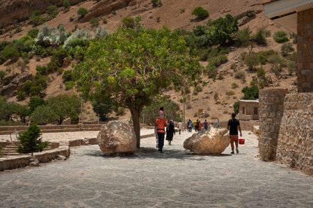 walkway in the margoon valley, paved with stones and decorated with oak tree in the old town of shiraz, iran.のeditorial素材