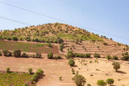 the farming industry on the slope or Mountains with some trees, foliage, grass and blue sky in kurdistan province, Iranの写真素材