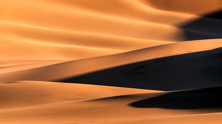 the formation of sands in dasht e lut or sahara desert with waved sand pattern on sand dune. Nature and landscapes of desert. Middle East desertの写真素材