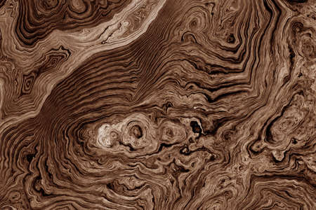 Texture of roots of tree with wavy lines and age rings. Abstract background.