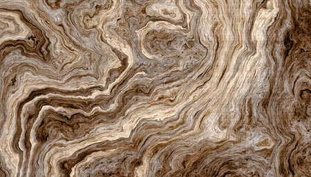 Texture of roots of tree with wavy lines and age rings. Abstract background.の写真素材