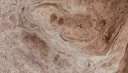 Texture of roots of tree with wavy lines and age rings. Abstract background.の写真素材