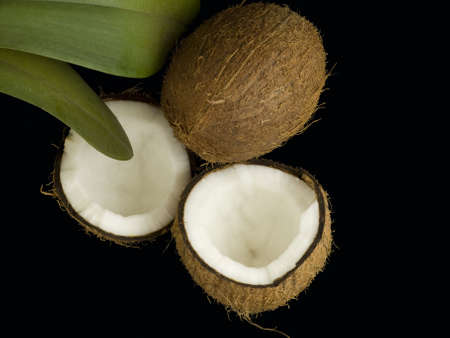 Coconutの写真素材