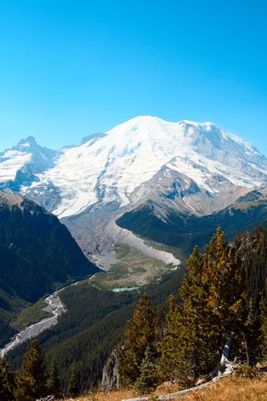 Mount Rainier during summer timeの写真素材