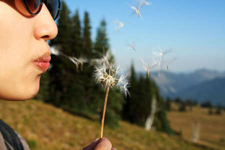 Make a wish by blowing on dandelionの写真素材