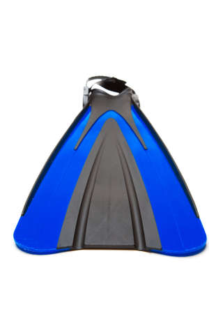 An isolated shot of a flipper for diving or snorkelingの写真素材