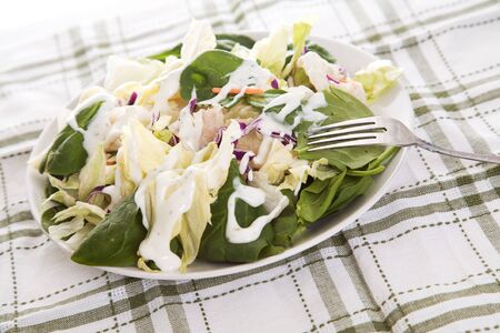 A shot of a plate of salad with ranch dressingの写真素材