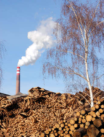 Pile of wood for combustion in a biomass boilerの写真素材