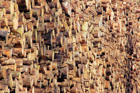 Wooden chips for combustion in a biomass boiler