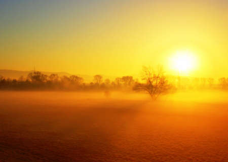 Bright sunlight flooding a misty area with treesの写真素材