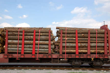 Red train wagon loaded with trees for combustion in a biomass boilerの写真素材