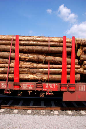 Trees on a train wagon loaded for transport to a biomass combustionの写真素材