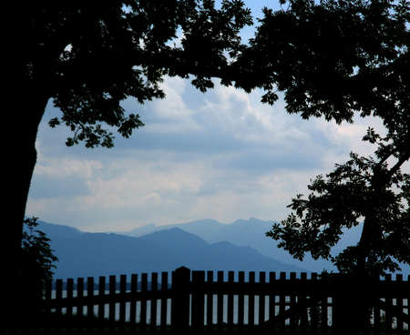 Alps view through the silhouettes of trees and a fenceの写真素材