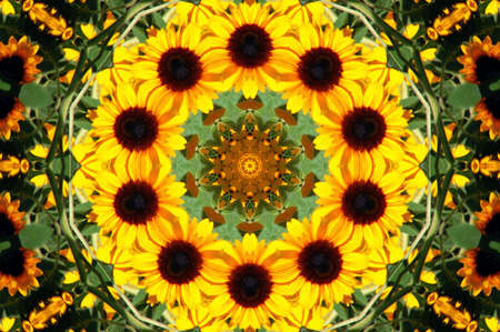 Background with a caleidoscope of sunflowerの写真素材