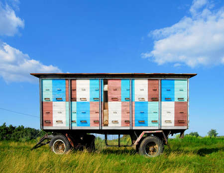 Colorful mobile transport car for beehiveの写真素材