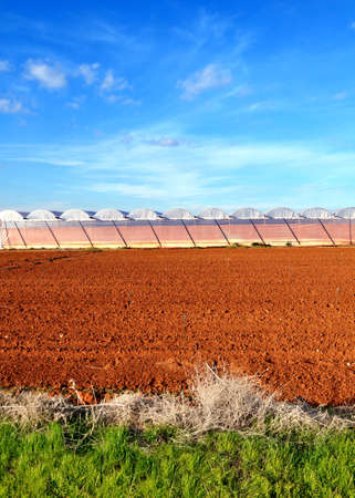 Red acriculture field with blue sky and greenhouseの写真素材