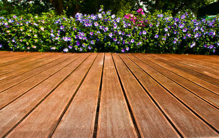 Hard floor board walk and flowers iin bloom n the backgroundの写真素材