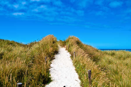 White sand on a beach access in the dunes