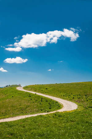 Curved hiking trail on a green meadow in the french alps