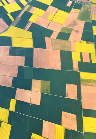 Aerial view on colored agriculture fieldsの写真素材