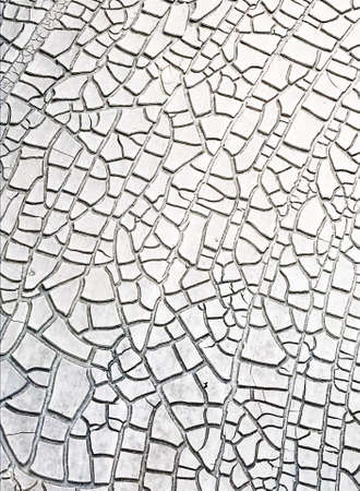 Patterns of dried mud on th ebottom of a water poolの写真素材