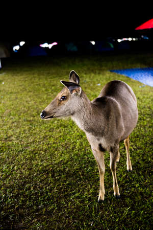 Everything can live togetherの写真素材