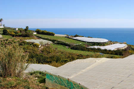 Crops growing under poly-tunnels by the sea, Maro, Costa del Sol, Malaga Province, Andalucia, Spain, Western Europe の写真素材