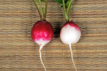 Red Head Radish against a brown matting background の写真素材