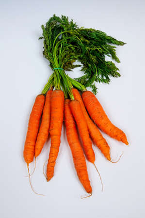 Bunch of carrots with leafy tops against a plain background の写真素材