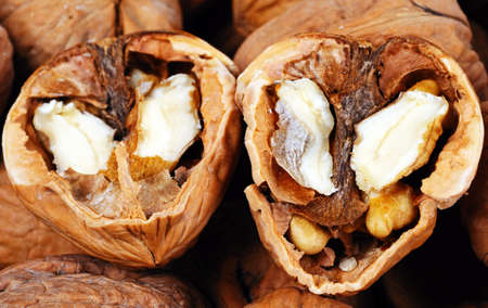 Walnuts in their shells, UK, Western Europe 