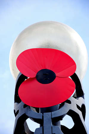 Large poppy near the top of a lamppost in Centenary Square, Birmingham, West Midlands, England, UK, Western Europe の写真素材