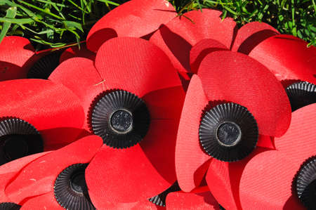 Alrewas, UK - May 21, 2014 - Artificial poppies at the National Memorial Arboretum, Alrewas, Staffordshire, England, UK, Western Europe のeditorial素材