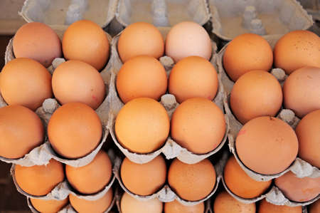 Chicken eggs in egg boxes