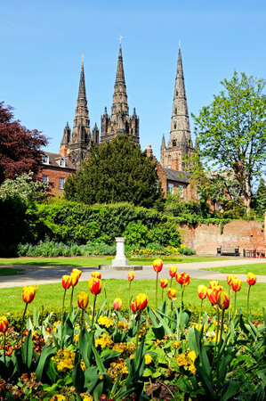 Cathedral seen from the Remembrance gardens with tulips in the foreground, Lichfield, Staffordshire, England, United Kingdom, Western Europe の写真素材