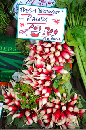 Broadway, United Kingdom - June 12, 2014 - Breakfast radishes for sale outside a shop along High Street, Broadway, Cotswolds, Worcestershire, England, UK, Western Europe のeditorial素材