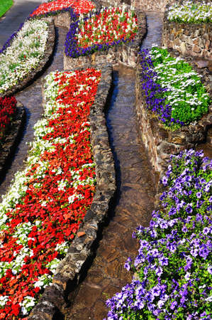 Colourful flowerbeds in the castle gardens, Tamworth, Staffordshire, England, UK, Western Europe.のeditorial素材