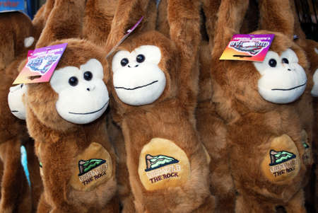 Souvenir Barbary Apes for sale in a shop along Main Street, Gibraltar, United Kingdom, Western Europe.のeditorial素材