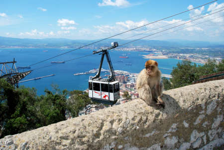 Cable car with views over the town sea and Spanish coastline with a Barbary Ape sitting on the wall in the foreground, Gibraltar, United Kingdom, Western Europe.のeditorial素材
