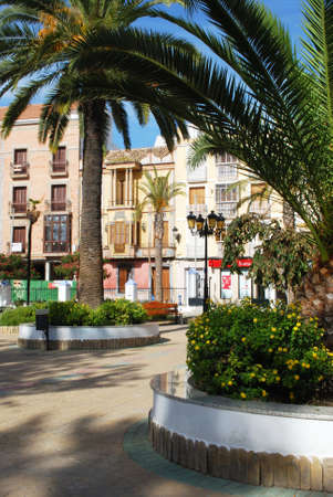 Palm trees in the town square with shops to the rear, Rute, Cordoba Province, Andalusia, Spain, Western Europe.のeditorial素材
