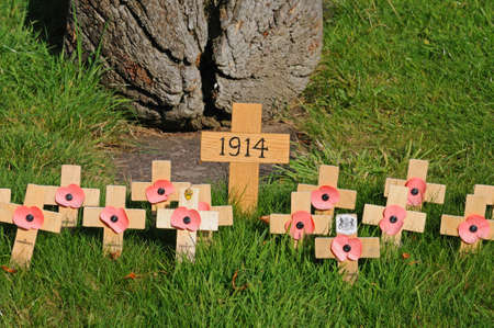 Poppies on crosses commemorating the start of World War I in 1914 in the grounds of the Collegiate Church of St Mary, Stafford, Staffordshire, England, UK, Western Europe.のeditorial素材