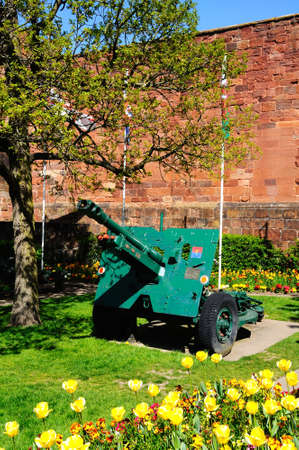 Cannon outside the castle entrance with Spring flowers in the foreground, Shrewsbury, Shropshire, England, UK, Western Europe.のeditorial素材