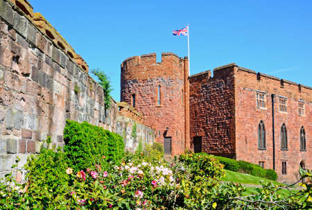 View of the sandstone castle tower with Spring flowers in the foreground, Shrewsbury, Shropshire, England, UK, Western Europe.のeditorial素材